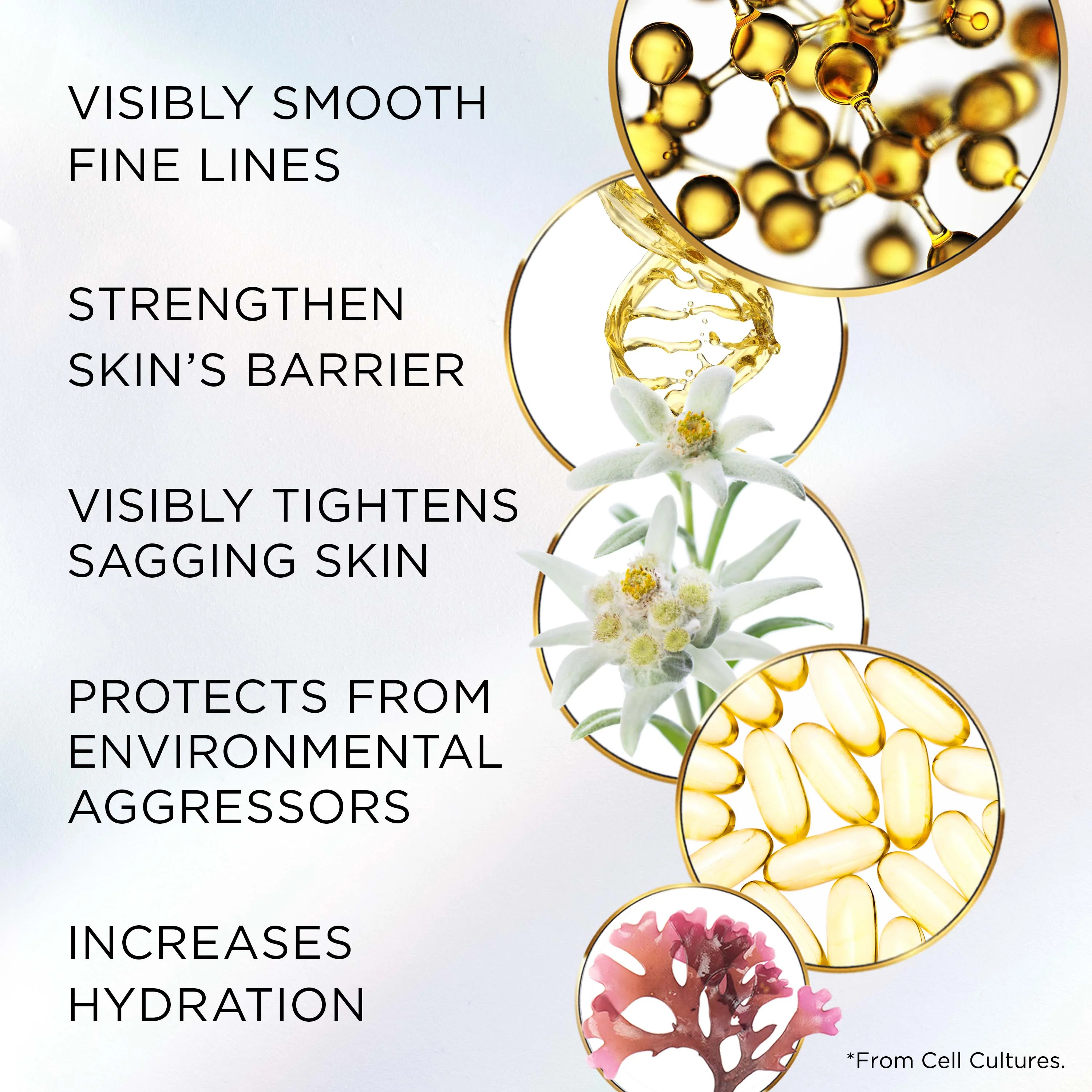 Advanced Ceramide Lift and Firm Night Cream - Image 5
