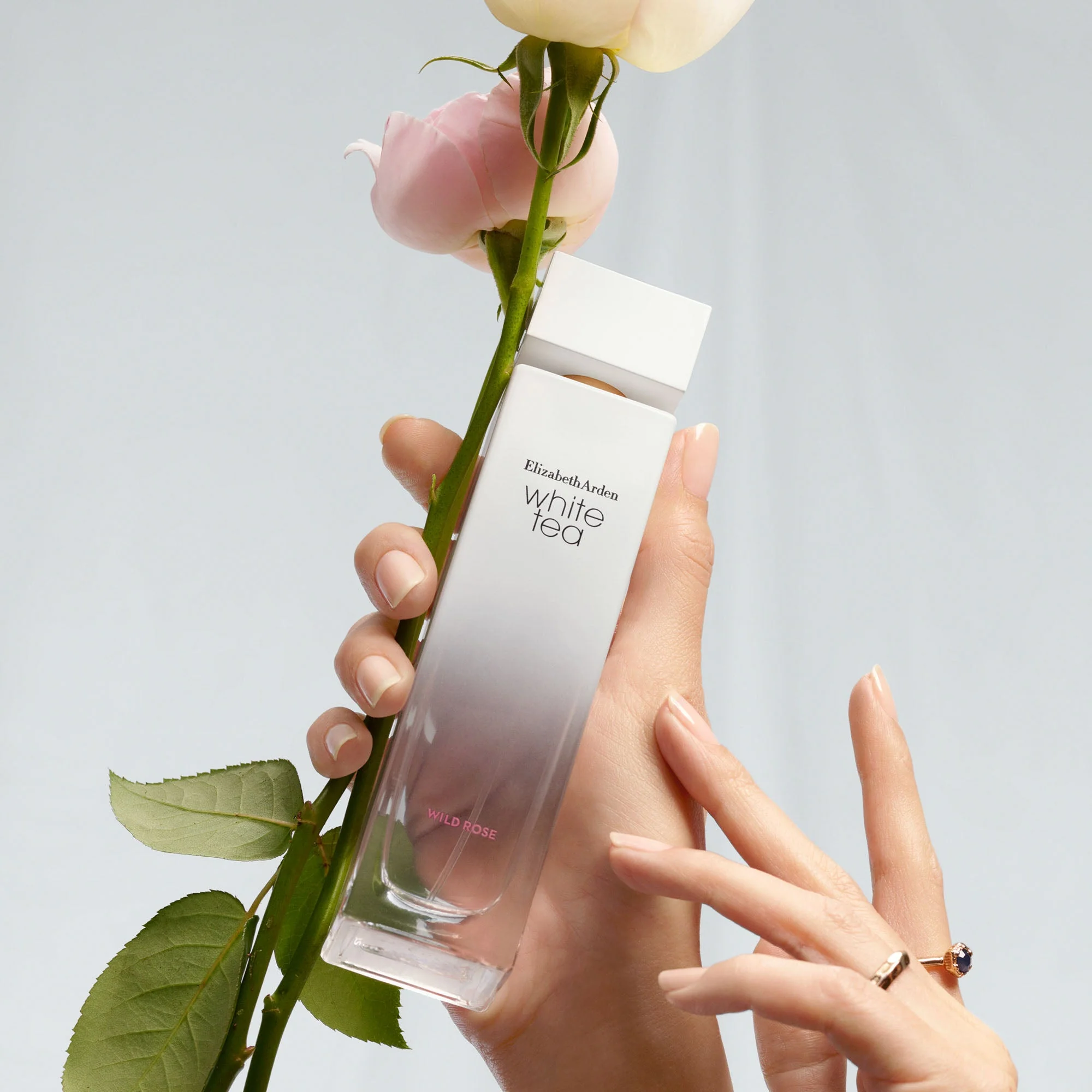 White Tea Wild Rose Eau De Toilette Spray - Image 3