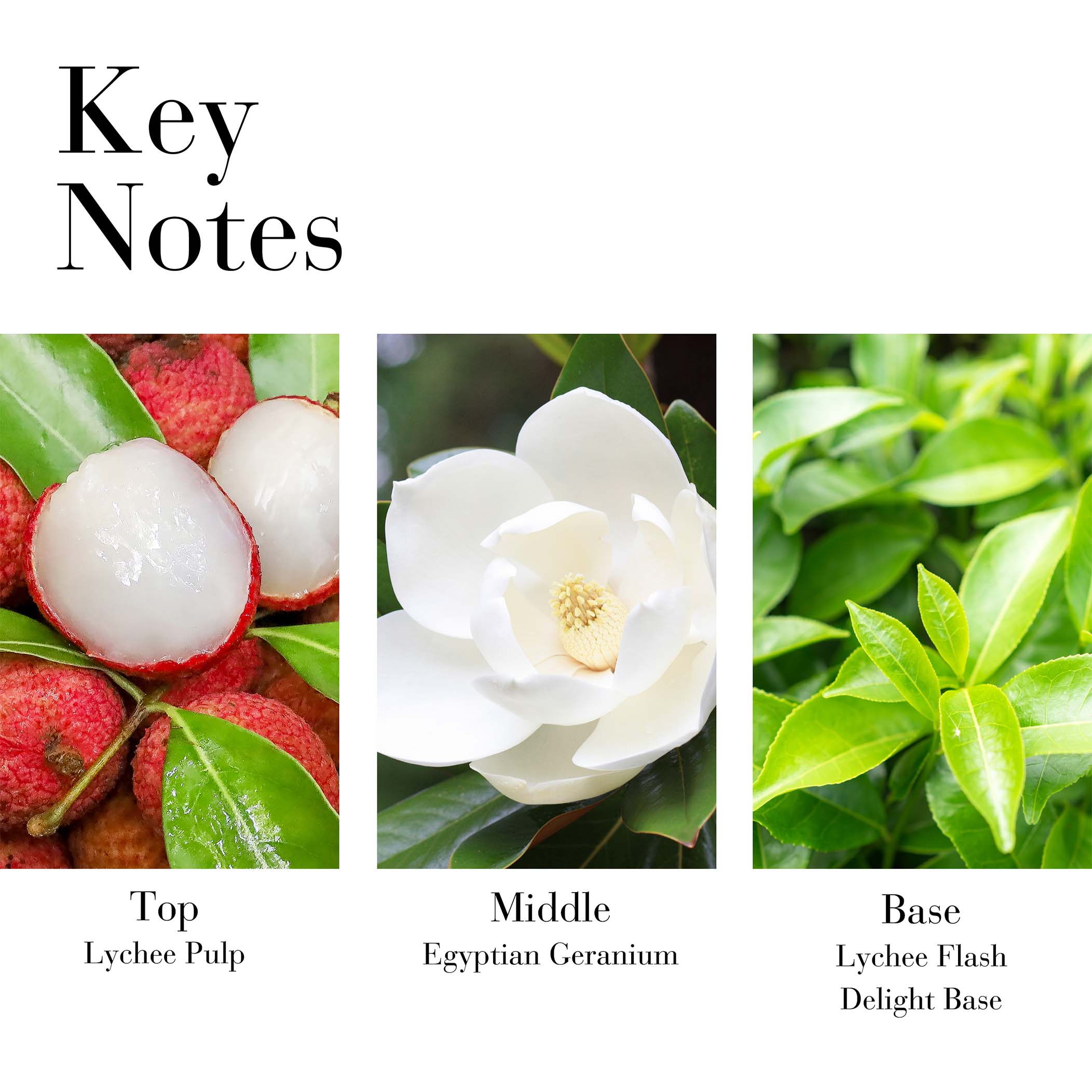 Green Tea Lychee Lime Fragrance Spray - Image 7