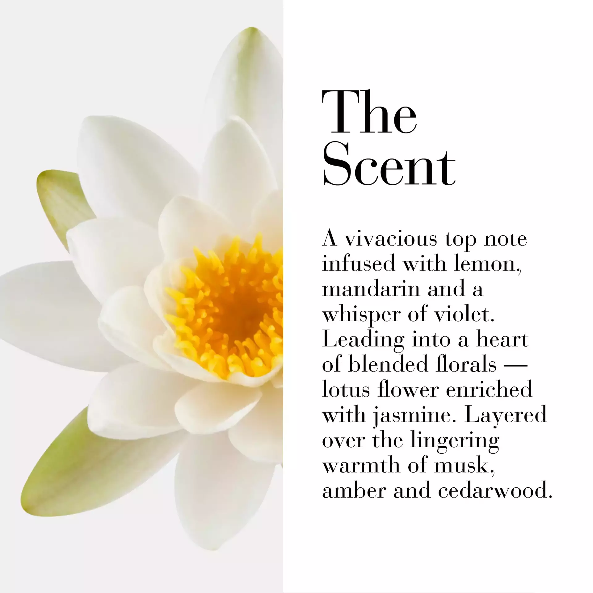 My Fifth Avenue Body Cream - Image 3
